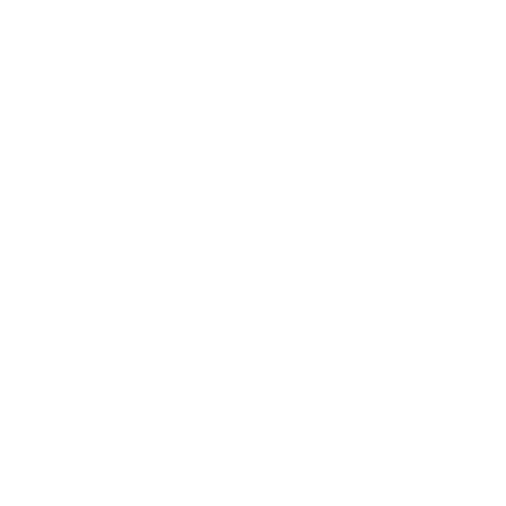 Triumph Motorcycles Ltd